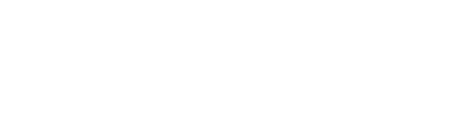 Andy Wayne Fitness Logo